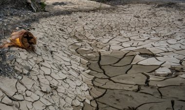 Gawat Kekeringan Di Karawang Meluas Hingga Melanda Desa