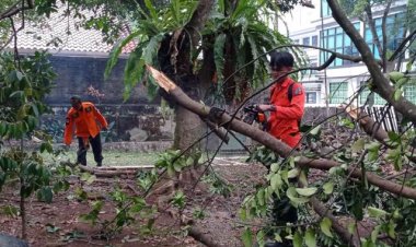 Kamis November Kemarin Bpbd Kota Bogor Tangani Titik Bencana