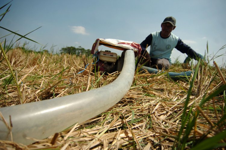 Gawat Hektar Sawah Di Kab Bandung Terancam Kekeringan Inilahkoran Id