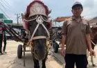 Angkutan Organik di 4 Kabupaten/Kota Diminta Stop Beroperasi Selama Arus Mudik dan Balik Lebaran