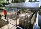 Berkebun Bukan Sekadar Hobi, Ini Manfaatnya untuk Kesehatan Otak dan Mental