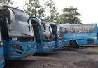 Tak Perlu Bayar, Damri Siapkan 300 Bus untuk Program Mudik Gratis 2025