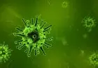 Mengenal Virus Nipah: Penyakit Zoonosis Mematikan yang Kini Ramai Diperbincangkan