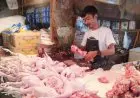 Harga Ayam Potong Turun, Konsumen Diuntungkan