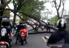Diskar PB Kota Bandung Catat 65 Pohon Tumbang Sepanjang 2023