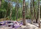 Petualangan Alam yang Menyenangkan: 3 Tempat Camping di Bandung untuk Kamu yang Berjiwa Petualang