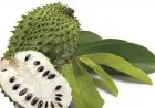 Kolesterol Tinggi? Jangan Panik! Coba Jus Sirsak Alami Ini, Dijamin Segar dan Bikin Nagih!