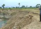 Farhan Negosiasi dengan BPN soal Lahan Sawah Dilindungi yang Tak Lagi Berfungsi
