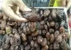 Kurma, Si Kecil Kaya Manfaat: 3 Ramuan Herbal Ala dr. Zaidul Akbar untuk Sembuhkan Asam Lambung Hingga Anemia
