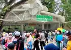Kasus Korupsi Pengelolaan Kebun Binatang Bandung, Hakim Tolak Praperadilan yang Diajukan Bisma dan Sri
