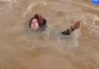 Terjatuh ke Sungai Saat Perbaiki Pipa, Pria di Bandung Dievakuasi Tim Rescue Damkar