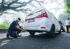 Tidak Hanya Efektif Tekan Biaya Operasional, Pengamat Nilai WFH Juga Kurangi Kemacetan dan Emisi Karbon