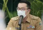 Ridwan Kamil Inisiasi Gugus Tugas sebagai Solusi untuk Honorer Guru dan Nakes Jabar