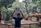 Wold Lion Day 2022, Bandung Zoo Berikan Hadiah Kelapa Berisi Daging