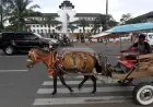 BPSDM Jabar Terima Penghargaan Makarti Bhakti Negeri dari LAN