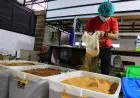 FOTO: Produksi Bubuk Minuman Jahe Merah untuk Tingkatkan Daya Tahan Tubuh