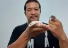 Dari Ternak Tokek, Dalam Sebulan Pria Asal Cirebon Petik Untung Belasan Juta Rupiah