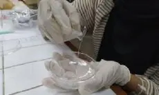 Mahasiswa UGM Sulap Limbah Styrofoam jadi Penyerap Limbah Laundry