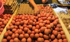 Kenaikan BBM Masih Wacana, Di Jabar Hanya Harga Telur yang Masih Tinggi