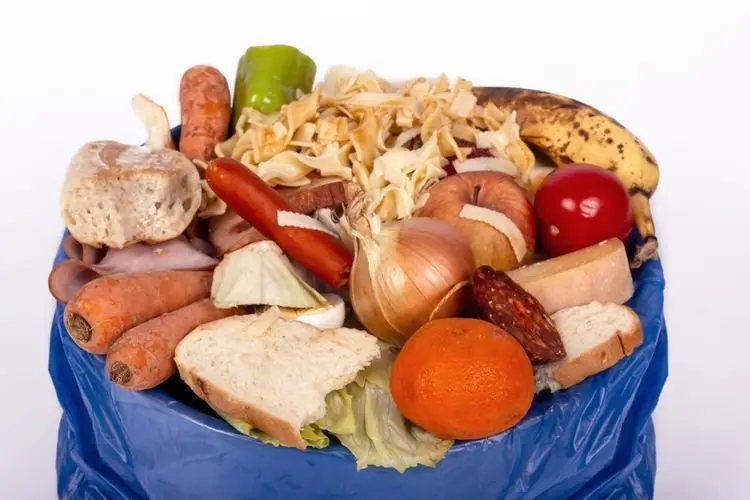 Food Rescue Solusi Kelola Limbah Makanan