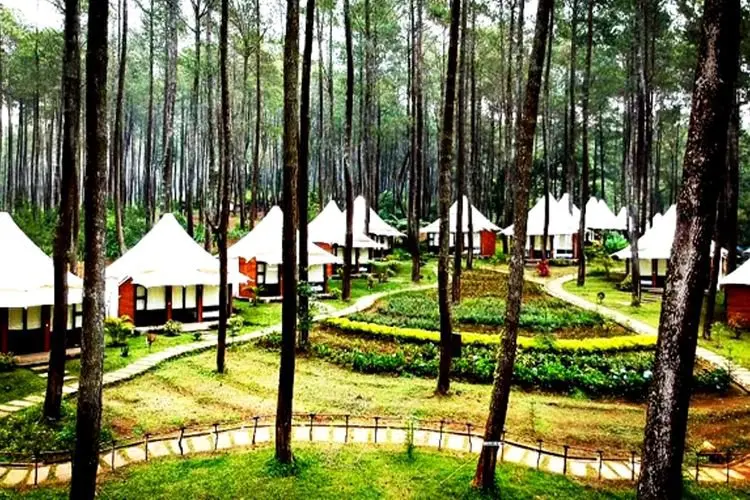 Bosan di Rumah? Yuk Keluar Nikmati Kesejukan Kota Bandung
