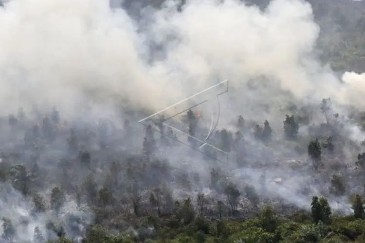 El Nino Mengintai, Pemprov Jabar Waspadai Krisis Air dan Karhutla Saat Puncak Kemarau