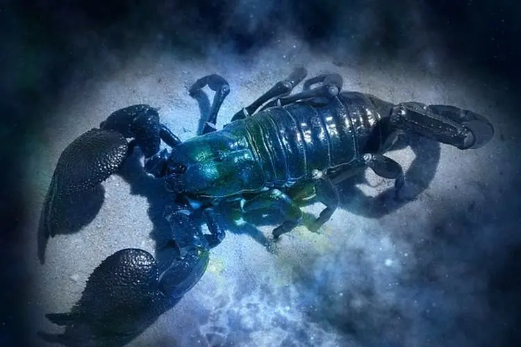 Ramalan Zodiak Cinta Hari Ini 8 September 2021, Scorpio Maafkan atau Putuskan?