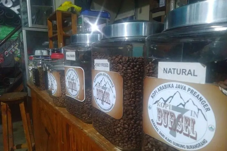 Kopi Burangrang Selatan, Bintang Dunia yang Kini Meredup, Ternyata Ini Faktor Penyebabnya