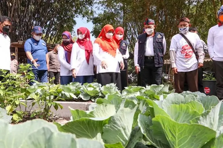 Pemkot Bandung Klaim Keberadaan Buruan SAE Turut Andil Berdayakan Perekonomian Warga