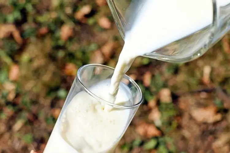 6 Jenis Susu Nabati yang Baik untuk Kesehatan