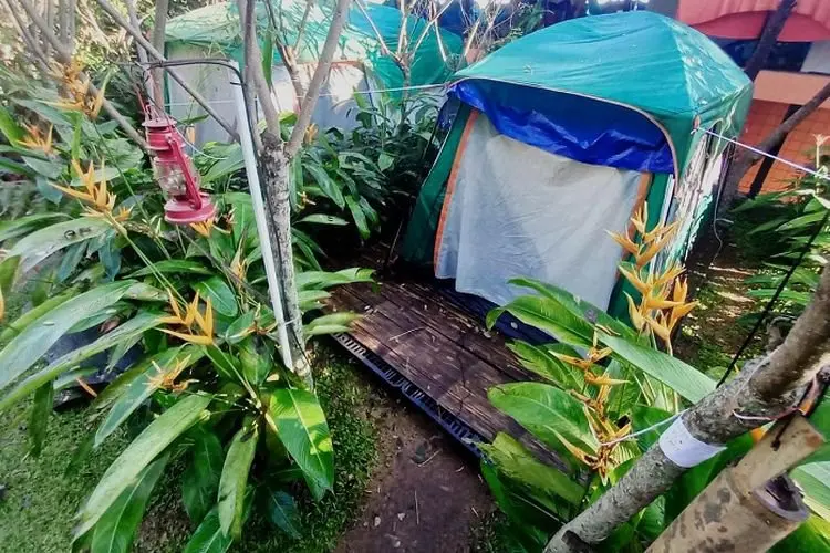  Luthfie Syam Bangun Lembah Pinus Camping di Ketinggian 1030 Mdpl, Lebih Dingin dari Puncak