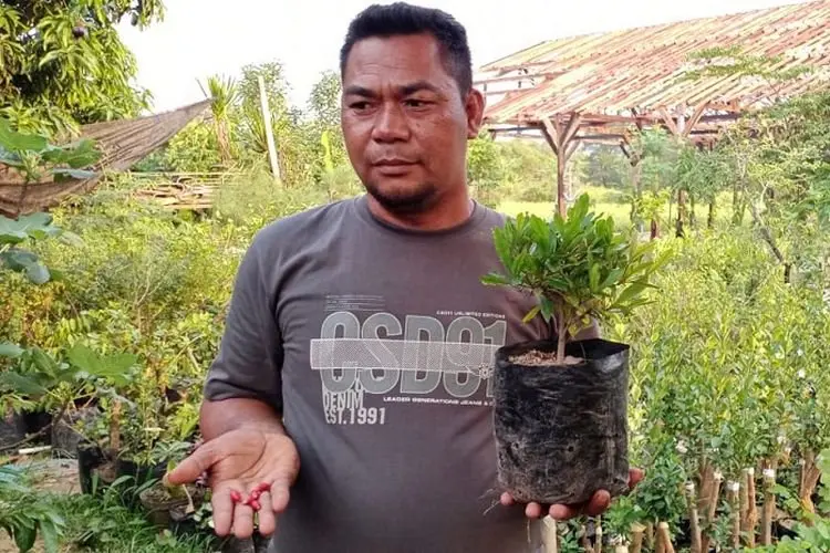Ajaib! Buah yang Bikin Semua Makanan Jadi Manis ini Punya Banyak Khasiat, Salah Satunya Turunkan BB