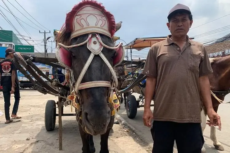 Menyedihkan, Angkutan Delman Tagog Padalarang Nasibmu Kini....