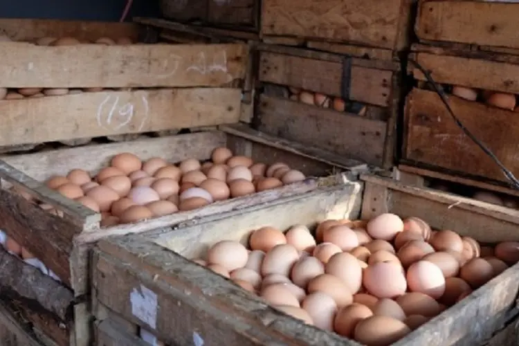 Harga Jual Anjlok, Pedagang Pasar di KBB waswas Telur Dagangan Mereka Busuk