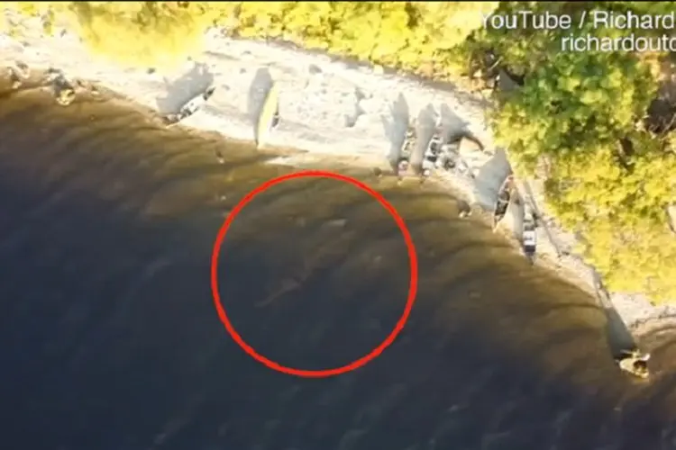 Monster Loch Ness Tertangkap Kamera Drone, Begini Penampakannya!