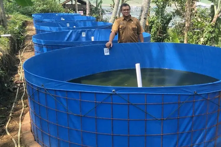 Dukung Citarum Harum, Pembudidaya Kolam Jaring Apung di Saguling Mulai Alih Usaha ke Kolam Darat