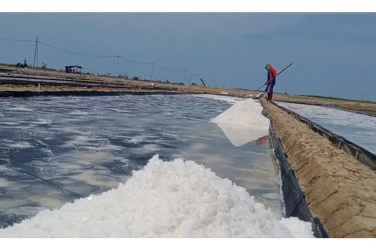 Hanya Bisa Gigit Jari, Harga Melejit tapi Petani Garam Cirebon Sulit Produksi
