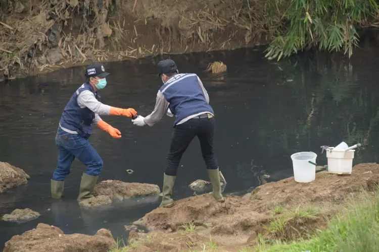 Mencemari Sungai Cimalaya, Pabrik Besar Tepung Tapioka Dihentikan Sementara