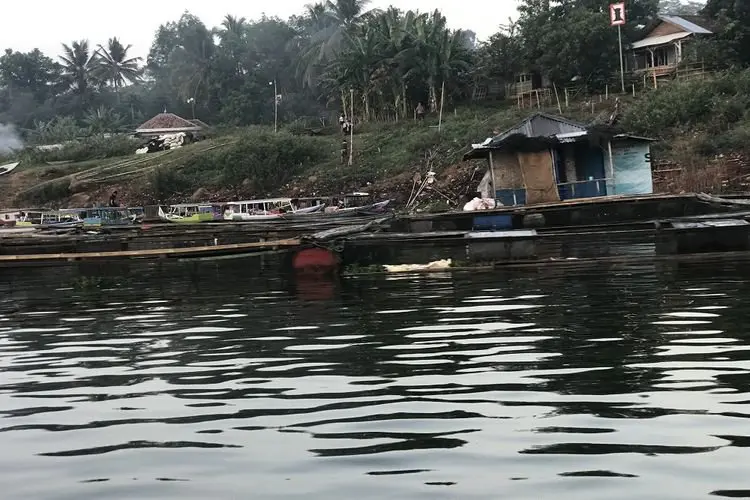 HEBOH, Jutaan Ekor Ikan di Waduk Cirata Mati Mendadak, Ada Apa?