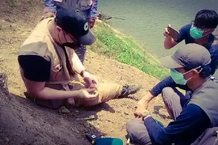 Heboh Temuan Tulang Belulang Diduga Fosil Hewan Purba di Cipongkor, Peneliti pun Gerak Cepat Lakukan Ini