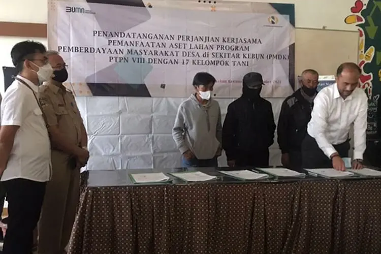 Tidak Dianggap Liar, Ratusan Petani Penggarap di Lahan Perkebunan Kertamanah PTPN VIII Lega