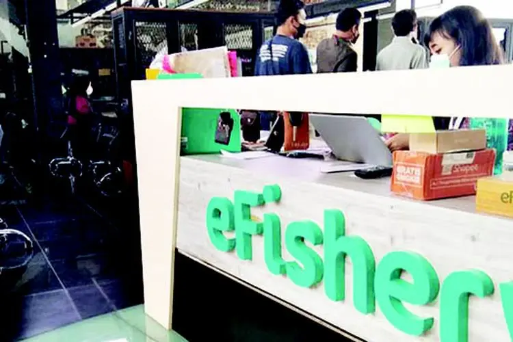 Perusahaan Rintisan eFishery Permanenkan Sistem Kerja Tanpa Harus ke Kantor