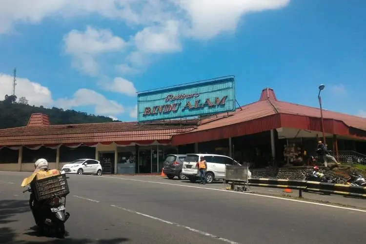 Bupati Bogor Ade Yasin Ingin Restoran Rindu Alam jadi RTH, Ini Alasannya Berbeda Sikap dengan Pemprov Jabar