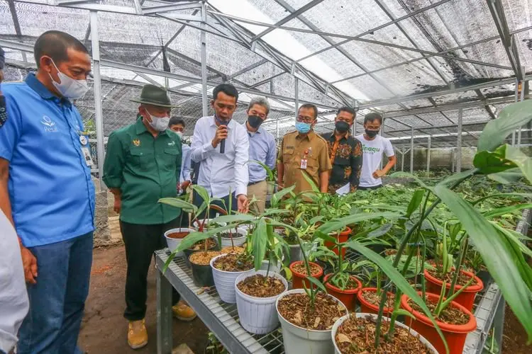 Tanaman Hias Punya Potensi Besar, Kopi dan Teh pun Kalah