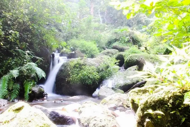 Masih Perawan! Curug Cilingga Payung di Gunung Halu Pas Banget untuk Lepas Penat