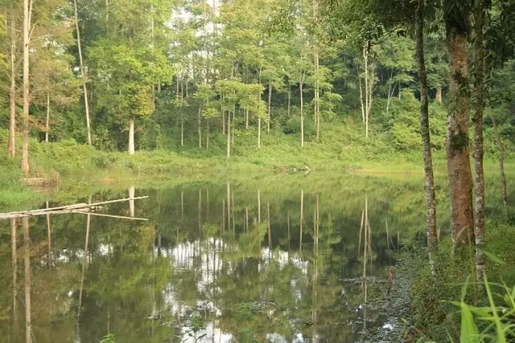 Ademnya Situ Rancabolang di Gununghalu, Wisata Danau Alami yang Rekomended untuk Piknik Keluarga