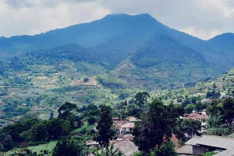 Redistribusi Tanah ke Petani Penggarap di Bogor Terkendala Kasus BLBI