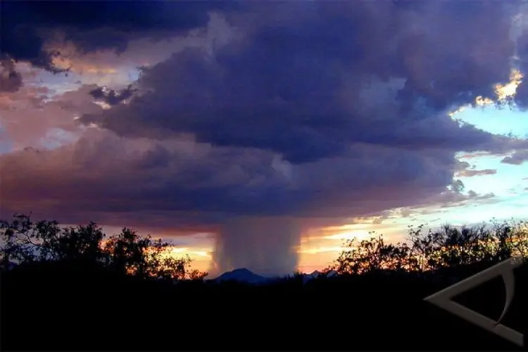 Waspada La Nina Terjadi Akhir Tahun 2021, Ancam Sektor Pertanian dan Perikanan