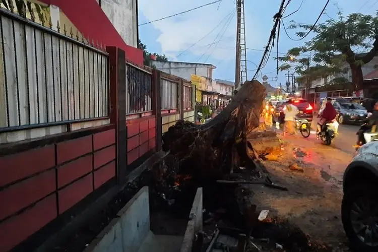 Cuaca Ekstrem Mengancam, Warga Depok Diimbau Waspada Angin Kencang dan Pohon Tumbang