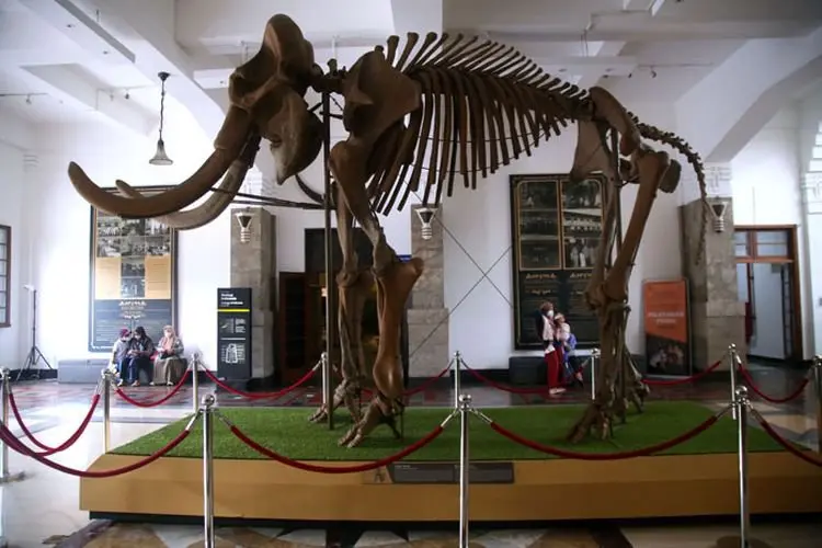 Foto: PPKM Level 2 Di Bandung, Museum Geologi Buka Kembali